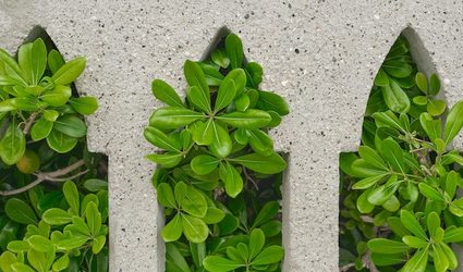 Tessela Mosaicos
